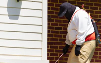 Pest Control Georgetown Ky