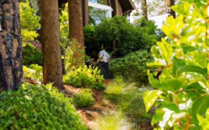 Pest Control South Lake Tahoe